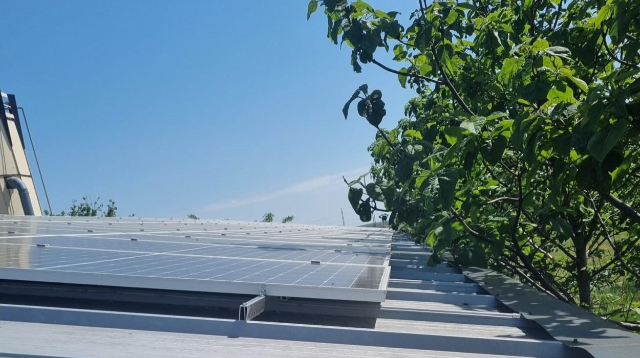 540239e8-177f-431d-b30b-3cc80e42646411