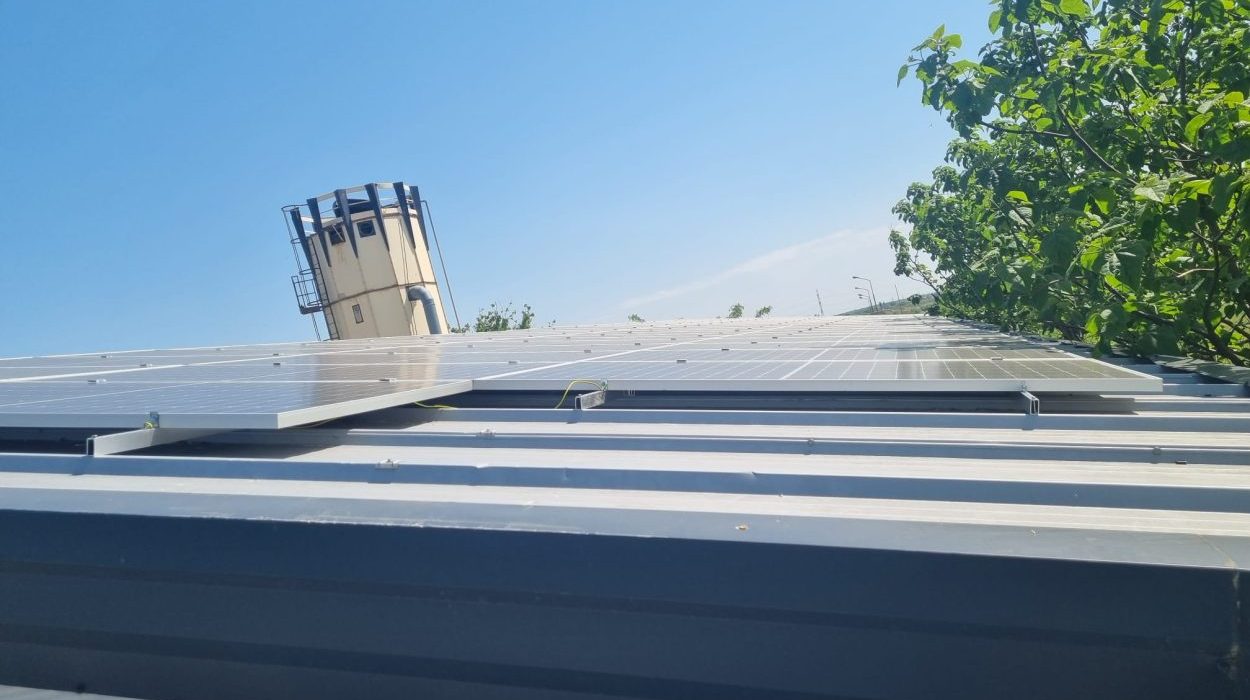 674603f9-7528-4a0a-aca9-591a24055cfa