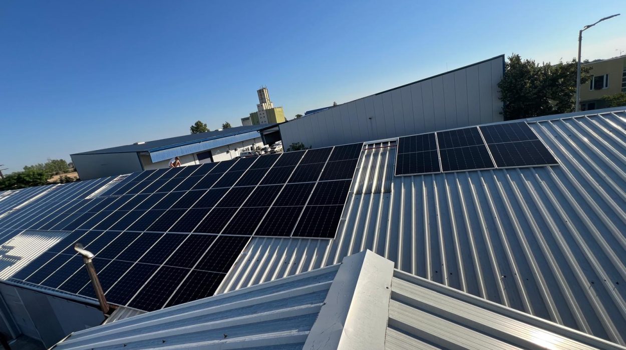 WhatsApp Image 2024-07-27 at 08.36.39 (6)