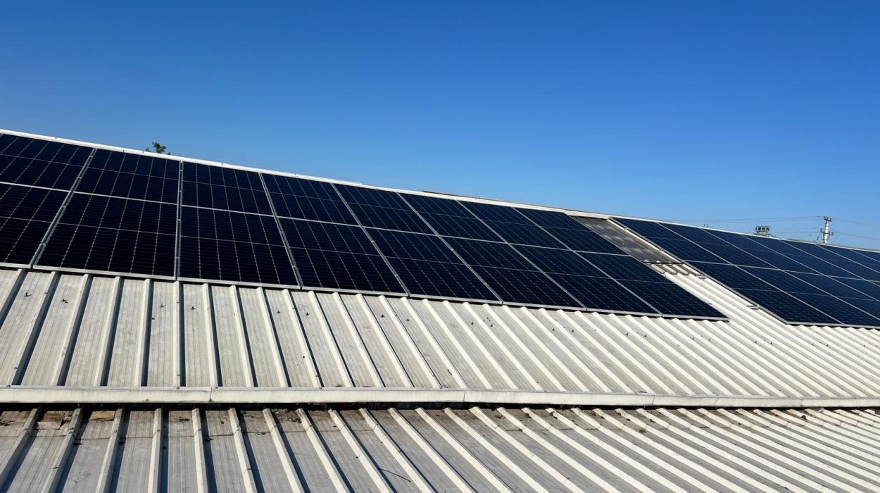 WhatsApp Image 2024-07-27 at 08.36.41 (1)