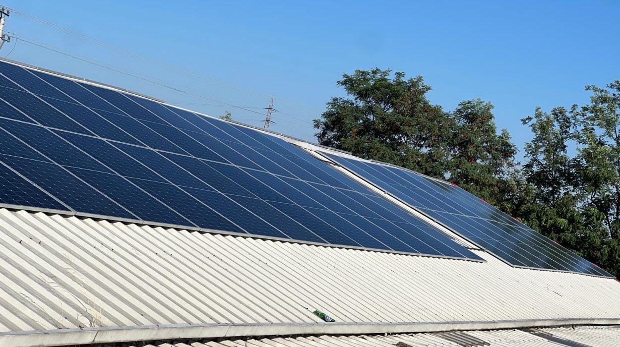 WhatsApp Image 2024-07-27 at 08.36.41 (2)