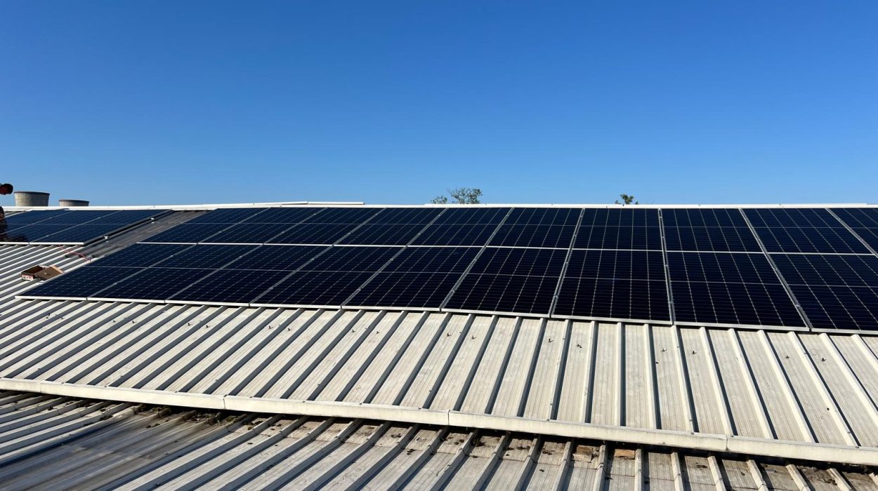 WhatsApp Image 2024-07-27 at 08.36.41