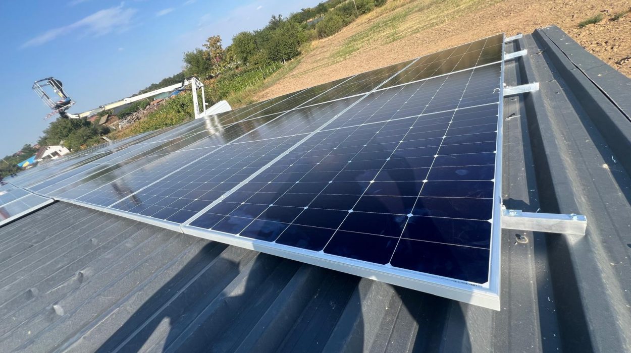 WhatsApp Image 2024-08-21 at 17.39.29 (1)