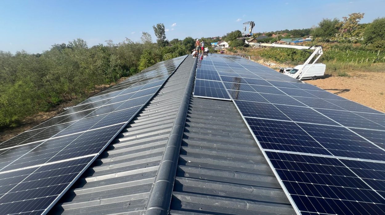 WhatsApp Image 2024-08-21 at 17.39.29