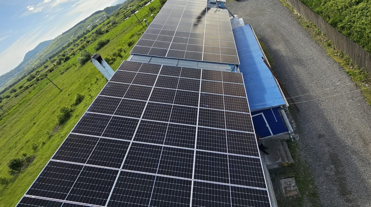 WhatsApp Image 2024-09-24 at 09.49.12 (2)