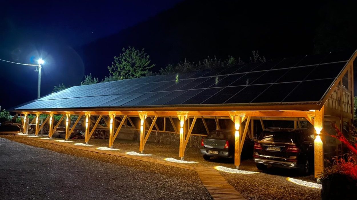 d2e2584d-5272-4c1d-a296-b598a760ecc4