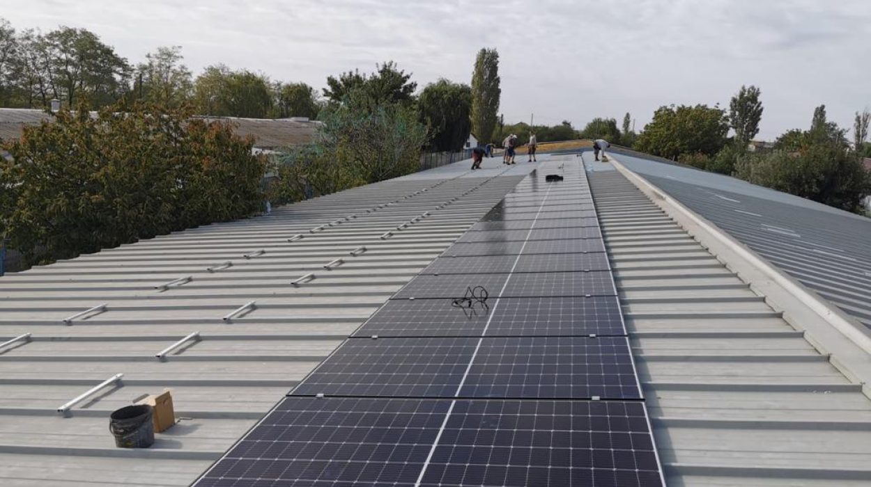 f07f814d-4b8e-41f4-8c3e-e76291604f78